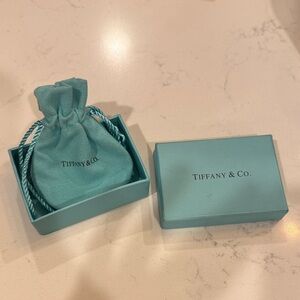 Tiffany & Co. Turquoise Pouch and Box Set